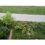 Zdjęcia użytkowników Samsung Galaxy mini 2