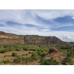 Zdjęcia użytkowników Samsung Galaxy Note 10 Lite Dual SIM