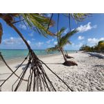 Zdjęcia użytkowników Samsung Galaxy Note 10 Lite Dual SIM