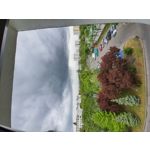 Zdjęcia użytkowników Samsung Galaxy Note 10 Lite