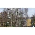 Zdjęcia użytkowników Samsung Galaxy Note 10+ Dual SIM