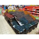 Zdjęcia użytkowników Samsung Galaxy Note 10+