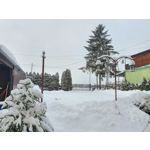 Zdjęcia użytkowników Samsung Galaxy Note 10+