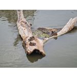 Zdjęcia użytkowników Samsung Galaxy Note 20 Ultra