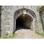 Zdjęcia użytkowników Samsung Galaxy Note 20 Ultra