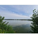 Zdjęcia użytkowników Samsung Galaxy Note 20 Ultra