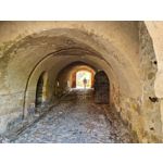 Zdjęcia użytkowników Samsung Galaxy Note 20 Ultra