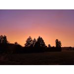 Zdjęcia użytkowników Samsung Galaxy Note 20 Ultra