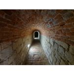 Zdjęcia użytkowników Samsung Galaxy Note 20 Ultra