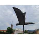 Zdjęcia użytkowników Samsung Galaxy Note 20 Ultra