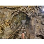 Zdjęcia użytkowników Samsung Galaxy Note 20 Ultra