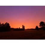 Zdjęcia użytkowników Samsung Galaxy Note 20 Ultra