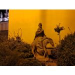 Zdjęcia użytkowników Samsung Galaxy Note 20 Ultra