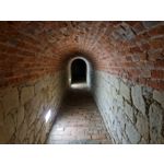 Zdjęcia użytkowników Samsung Galaxy Note 20 Ultra