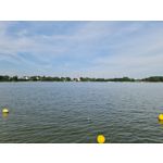 Zdjęcia użytkowników Samsung Galaxy Note 20 Ultra