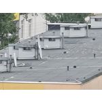 Zdjęcia użytkowników Samsung Galaxy Note 20 Ultra