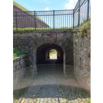 Zdjęcia użytkowników Samsung Galaxy Note 20 Ultra