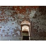 Zdjęcia użytkowników Samsung Galaxy Note 20 Ultra