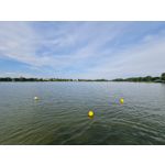 Zdjęcia użytkowników Samsung Galaxy Note 20 Ultra