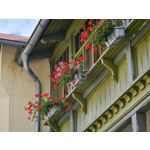 Zdjęcia użytkowników Samsung Galaxy Note 20 Ultra