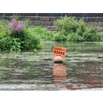 Zdjęcia użytkowników Samsung Galaxy Note 20 Ultra