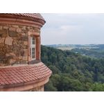 Zdjęcia użytkowników Samsung Galaxy Note 20 Ultra