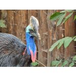 Zdjęcia użytkowników Samsung Galaxy Note 20 Ultra