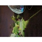 Zdjęcia użytkowników Samsung Galaxy Note 20 Ultra