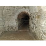 Zdjęcia użytkowników Samsung Galaxy Note 20 Ultra