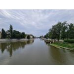 Zdjęcia użytkowników Samsung Galaxy Note 20 Ultra