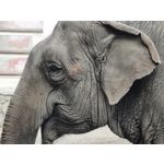 Zdjęcia użytkowników Samsung Galaxy Note 20 Ultra