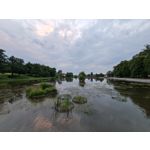 Zdjęcia użytkowników Samsung Galaxy Note 20 Ultra