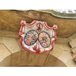 Zdjęcia użytkowników Samsung Galaxy Note 20 Ultra