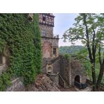 Zdjęcia użytkowników Samsung Galaxy Note 20 Ultra