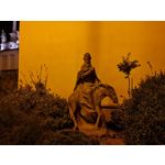 Zdjęcia użytkowników Samsung Galaxy Note 20 Ultra