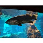 Zdjęcia użytkowników Samsung Galaxy Note 20 Ultra