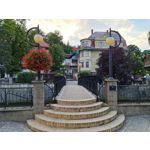 Zdjęcia użytkowników Samsung Galaxy Note 20 Ultra