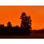 Zdjęcia użytkowników Samsung Galaxy Note 20 Ultra