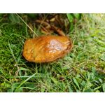 Zdjęcia użytkowników Samsung Galaxy Note 20 Ultra