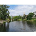 Zdjęcia użytkowników Samsung Galaxy Note 20 Ultra