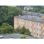 Zdjęcia użytkowników Samsung Galaxy Note 20 Ultra