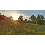 ZDJĘCIA Z TEGO TELEFONU