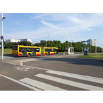 Zdjęcia użytkowników Samsung Galaxy Note 3 Neo LTE+