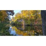 ZDJĘCIA Z TEGO TELEFONU