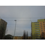 ZDJĘCIA Z TEGO TELEFONU