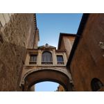 Zdjęcia użytkowników Samsung Galaxy Note 8 Dual SIM