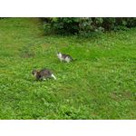 Zdjęcia użytkowników Samsung Galaxy Note 8 Dual SIM