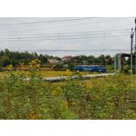 Zdjęcia użytkowników Samsung Galaxy Note 8 Dual SIM