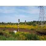 Zdjęcia użytkowników Samsung Galaxy Note 8