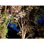 Zdjęcia użytkowników Samsung Galaxy Note 8